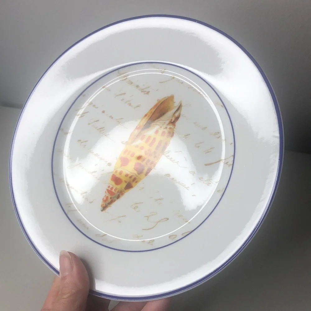 Williams Sonoma Set Seashell Salad Dessert Luncheon Plates